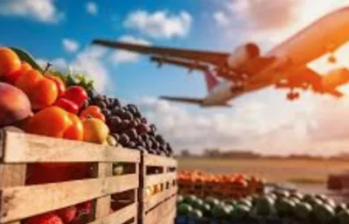 Fresh fruit via air freight